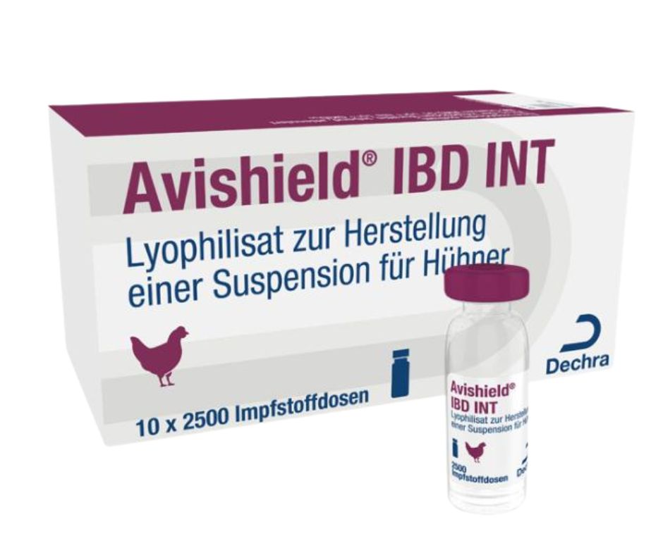 Avishield IBD