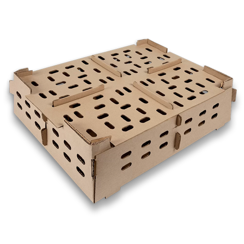 Transport Boxes - Day old Chics