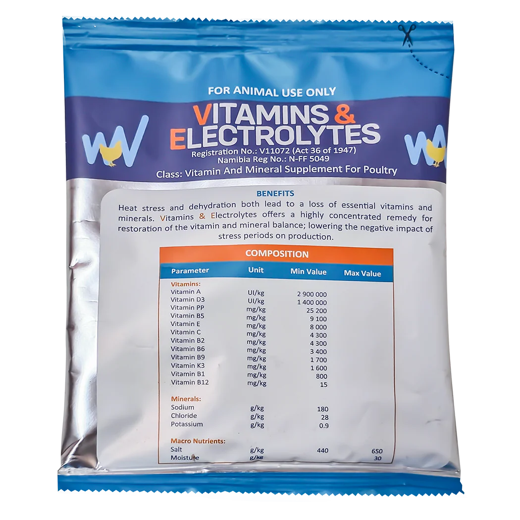 Vitamins & Electrolytes 100g